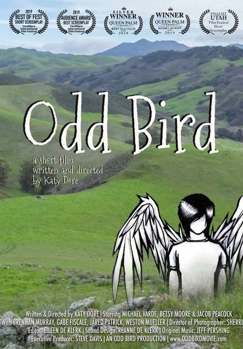 Movie poster for Odd Bird (2019)