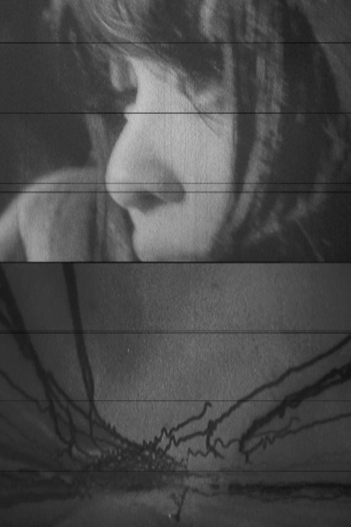Movie poster for Film workshop when there is no more FILM! (2013)