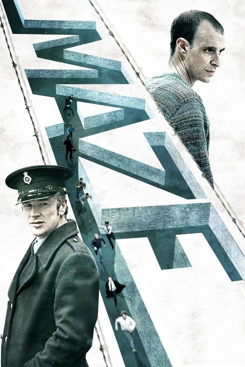 Movie poster for Maze (2017)