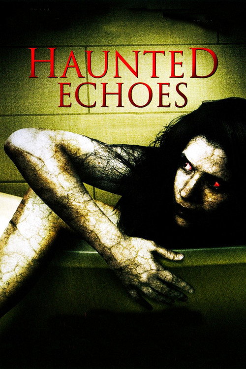 Movie poster for Haunted Echoes (2008)