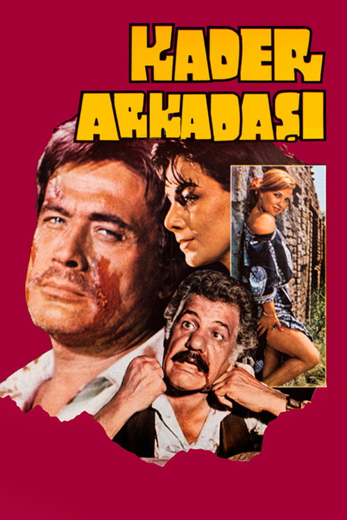 Movie poster for Kader Arkadaşı (1981)