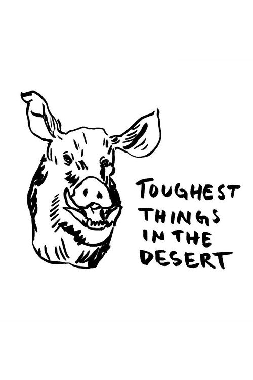 Movie poster for Toughest Things in the Desert (2022)