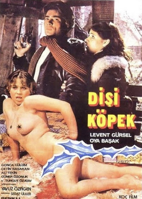 Movie poster for Dişi Köpek (1980)