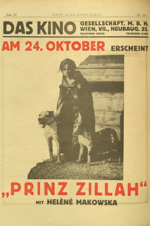 Movie poster for Il principe Zilah (1919)