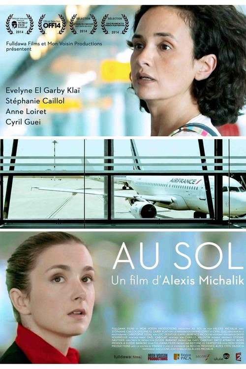 Movie poster for Grounded (2014)