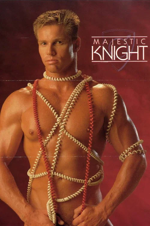 Movie poster for Majestic Knights (1991)