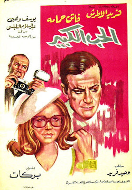 Movie poster for Big Love (1969)