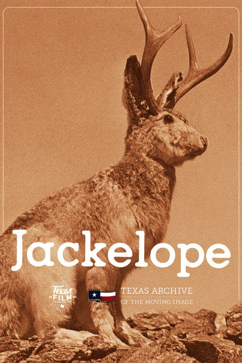 Movie poster for Jackelope (1976)