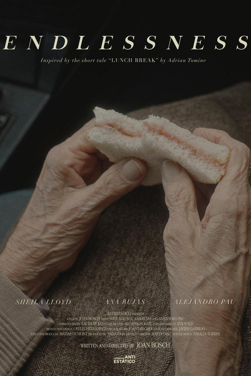Movie poster for Endlessness (2020)