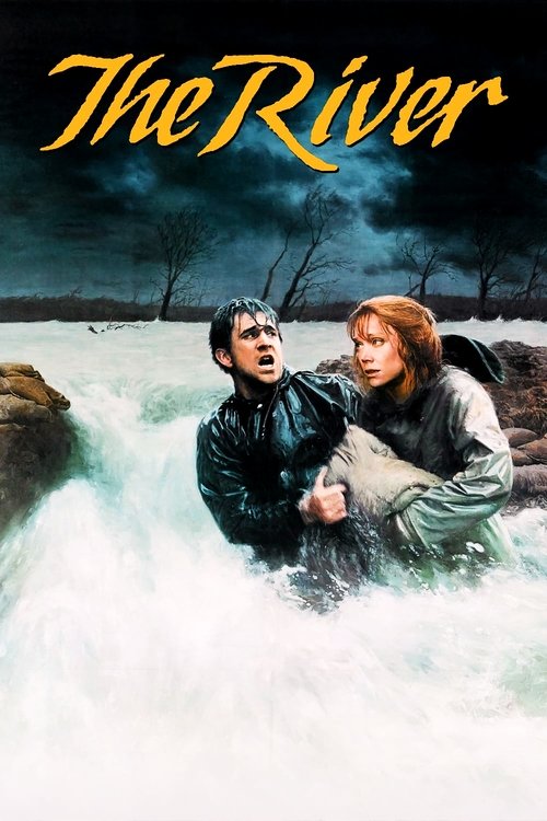 Movie poster for The River (1984)