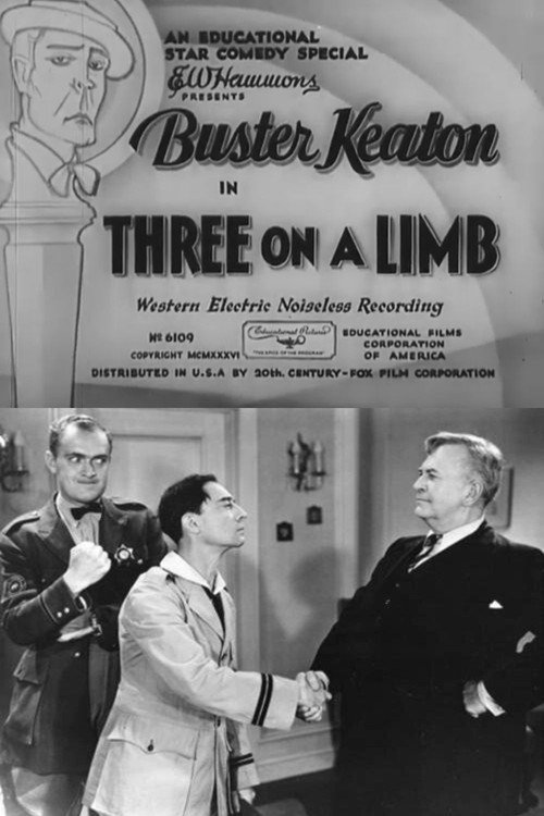 Movie poster for Three on a Limb (1936)