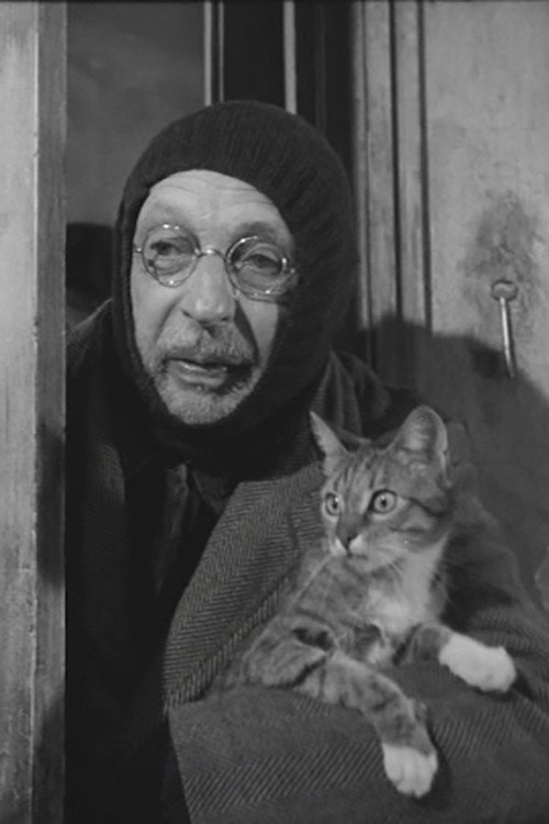 Movie poster for L'Homme au chats (1969)