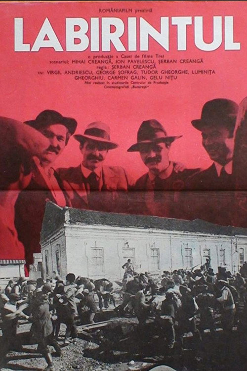 Movie poster for Labirintul