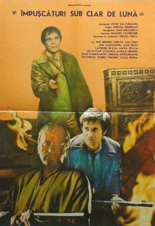 Movie poster for Shootings Under the Moonlight (1977)