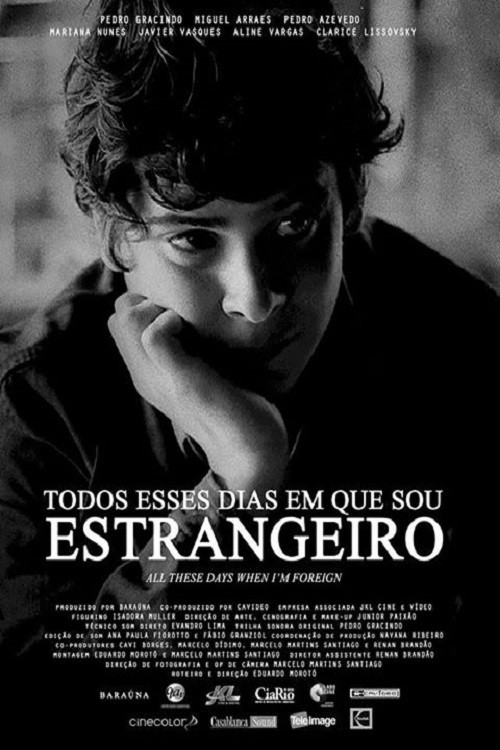 Movie poster for All These Days When I'm Foreign (2013)