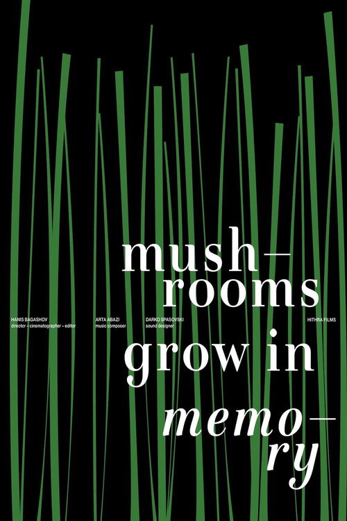 Movie poster for Mushrooms Grow in Memory (2025)