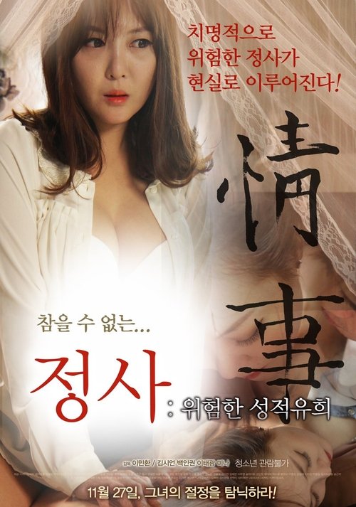 Movie poster for An Affair: A Dangerous Sexual Play (2014)