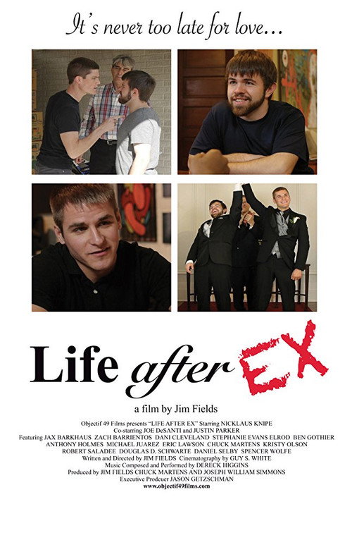 Movie poster for Life After Ex (2017)