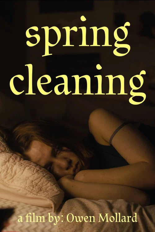 Movie poster for Spring Cleaning (2026)