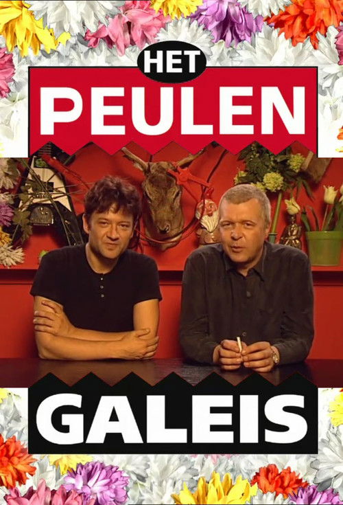 Het Peulengaleis poster