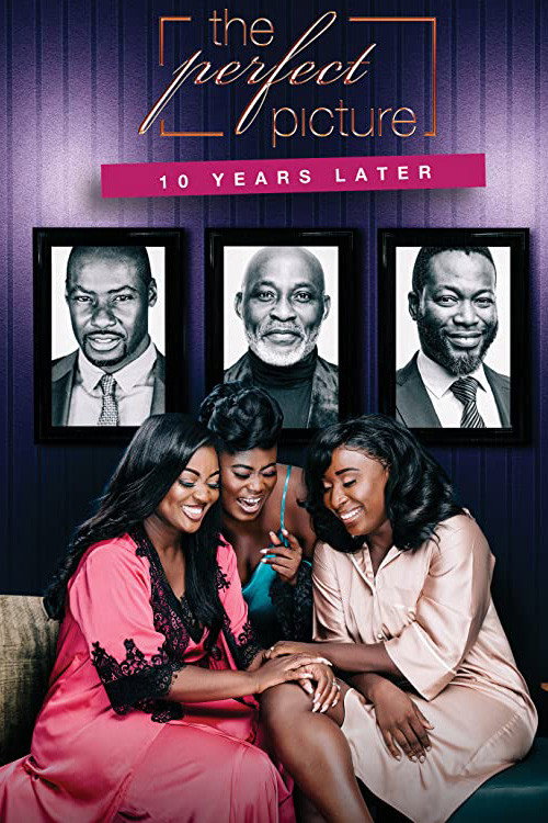 Movie poster for The Perfect Picture: Ten Years Later (2019)