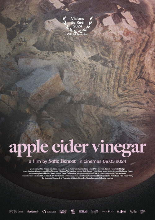 Movie poster for Apple Cider Vinegar (2024)