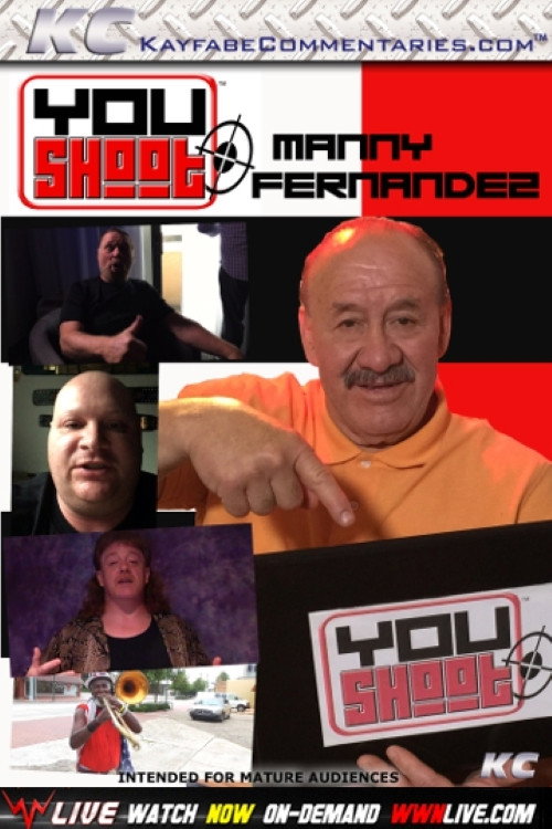 Movie poster for YouShoot: Manny Fernandez (2017)
