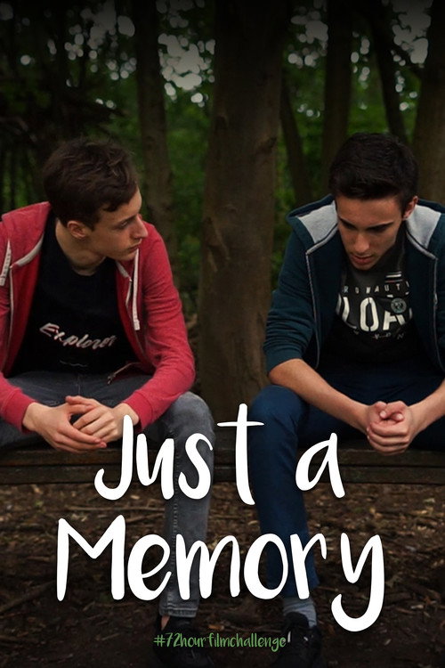 Movie poster for Just a Memory (2020)
