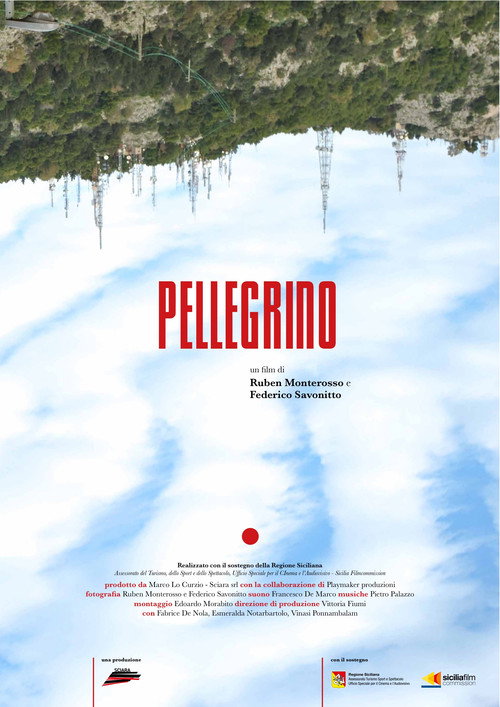 Movie poster for Pellegrino (2017)