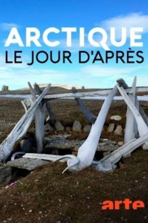 Movie poster for Arctique – Le jour d'après (2018)
