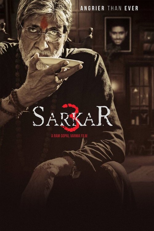 Movie poster for Sarkar 3 (2017)