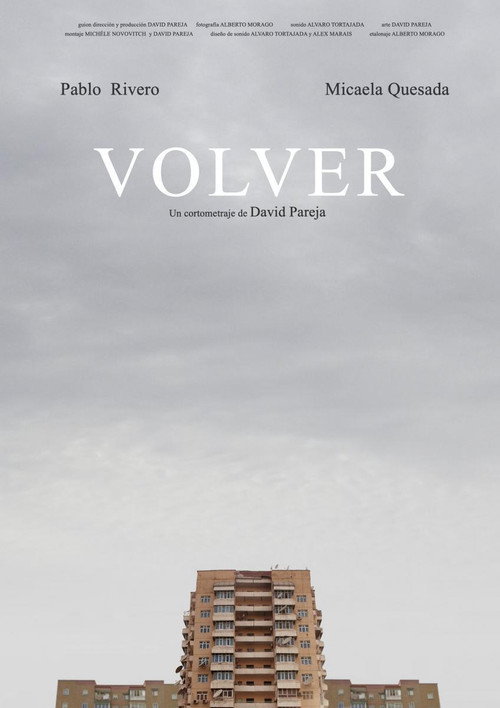 Movie poster for Volver (2019)