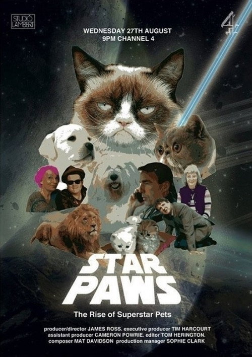 Movie poster for Star Paws: The Rise of Superstar Pets (2014)