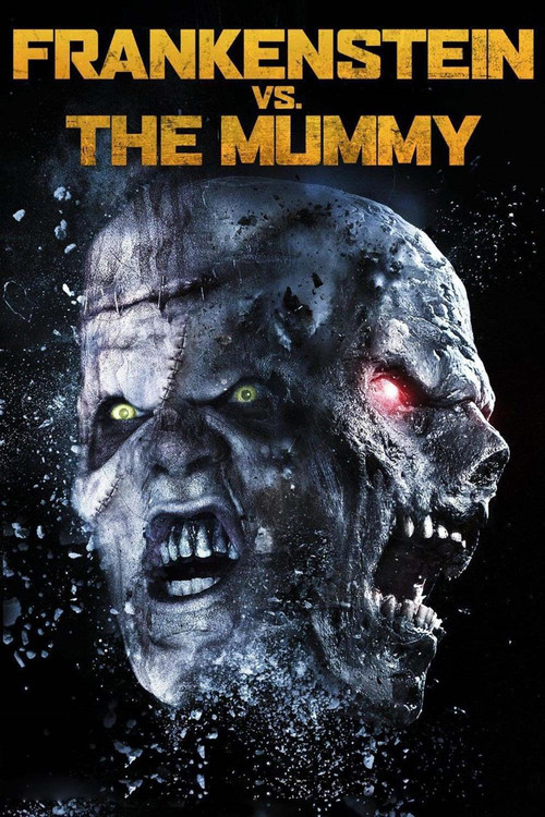 Movie poster for Frankenstein vs. The Mummy (2015)
