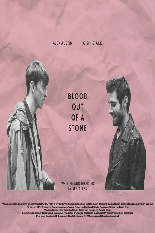 Movie poster for Blood Out of a Stone (2018)