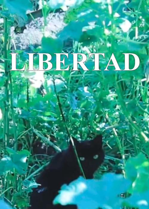 Movie poster for Freedom (2022)