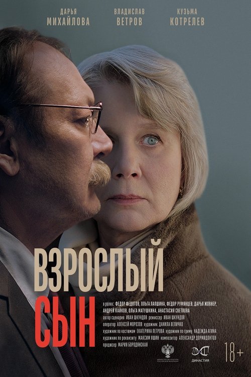 Movie poster for The Adult Son (2025)