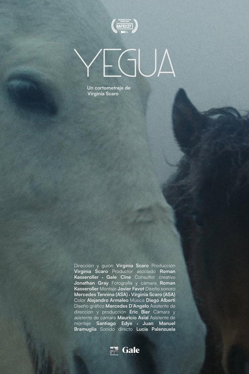 Movie poster for Mare