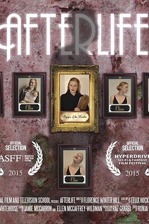 Movie poster for Afterlife (2015)