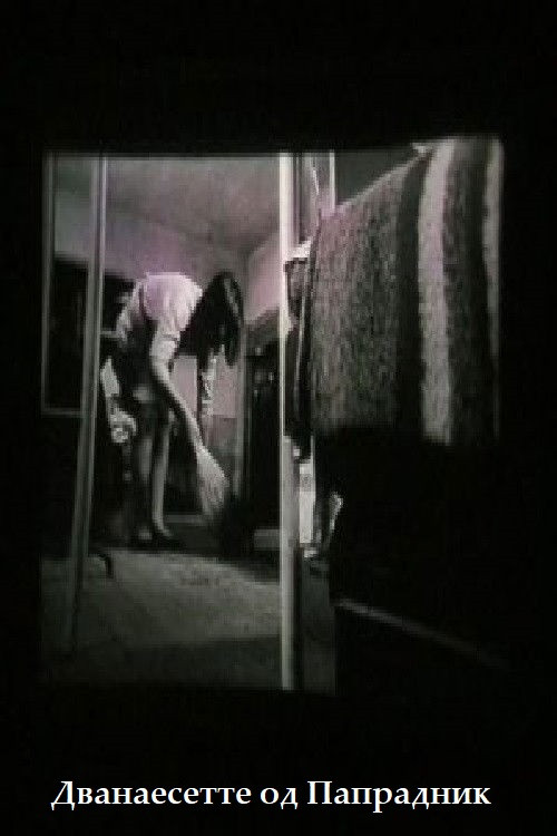 Movie poster for The Twelve Teachers of Papradnik (1965)