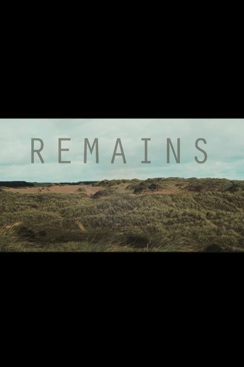 Movie poster for Remains (2025)