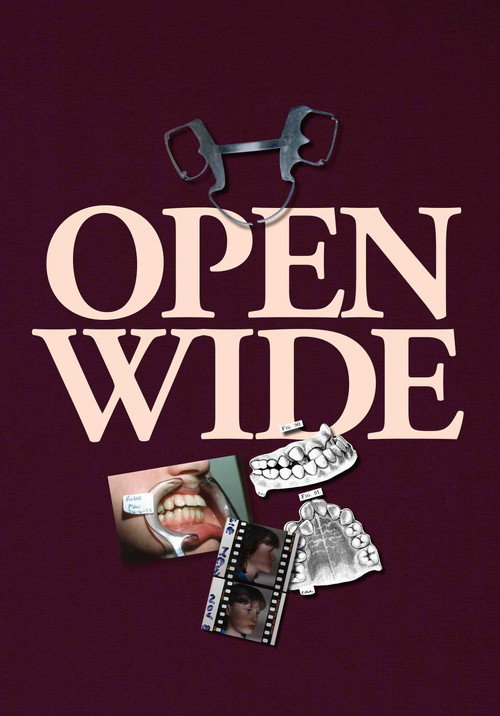 Movie poster for Open Wide (2024)