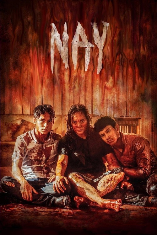Movie poster for Nay (2017)