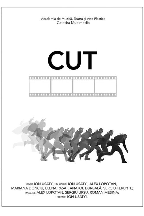 Movie poster for CUT (2014)