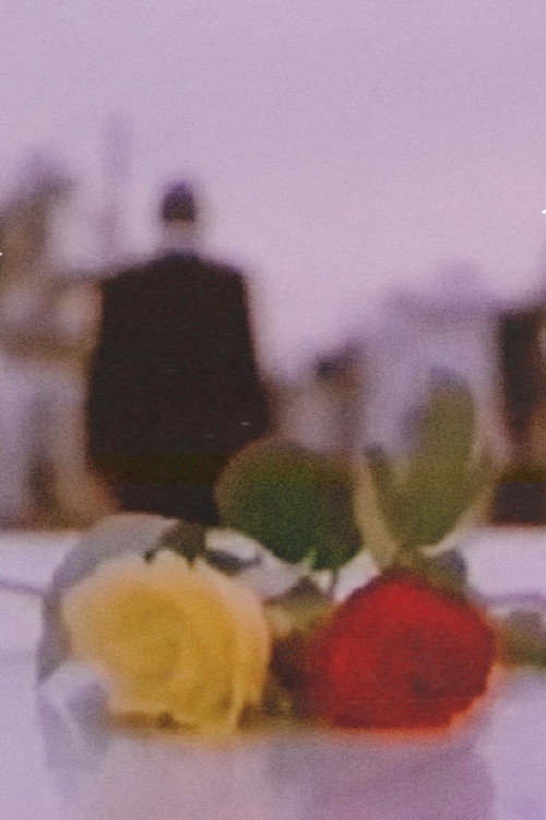 Movie poster for Rosas (1995)