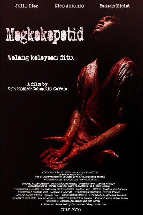Movie poster for Blood Ties (2010)