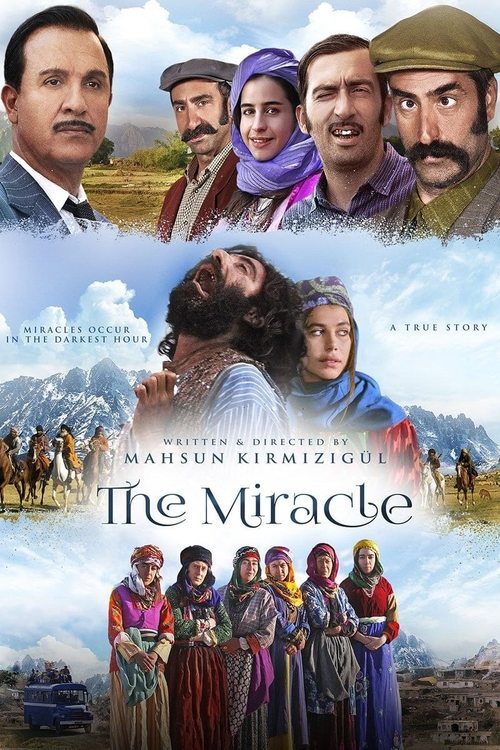 Movie poster for The Miracle (2015)