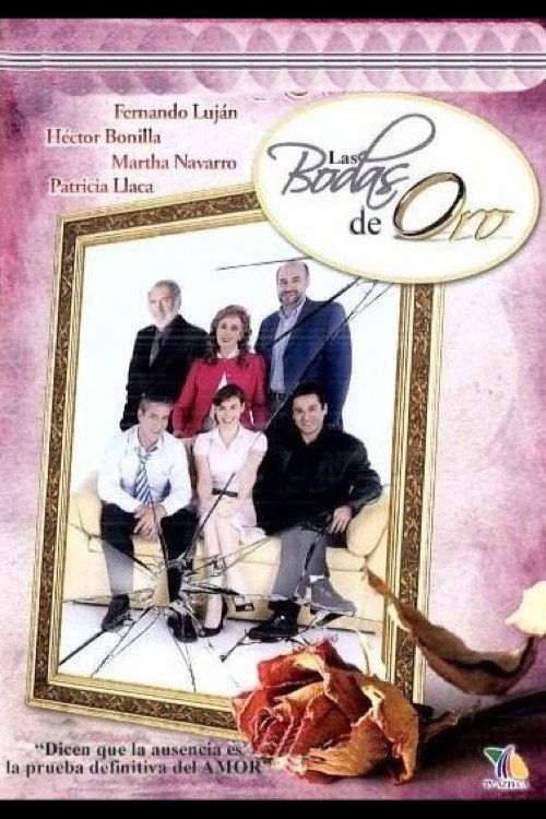 Movie poster for Bodas de oro (2005)