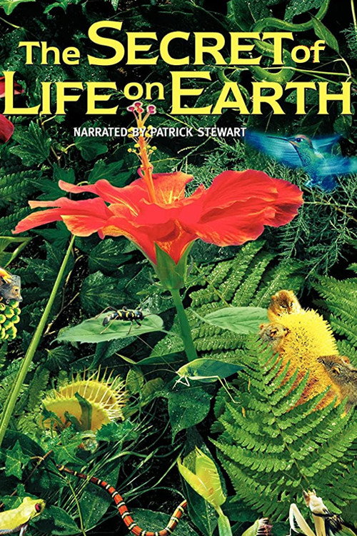 Movie poster for The Secret of Life on Earth (1993)