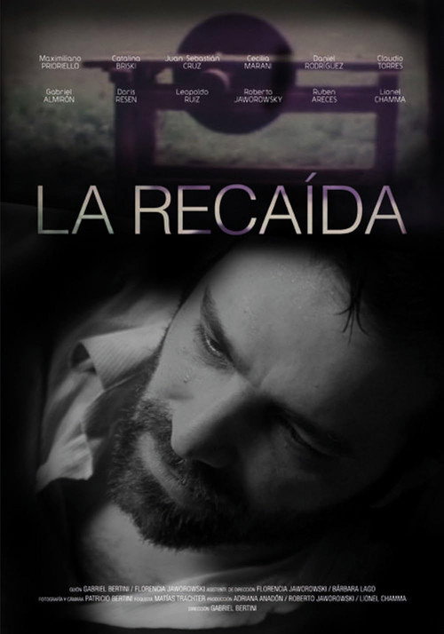 Movie poster for La Recaida (2013)